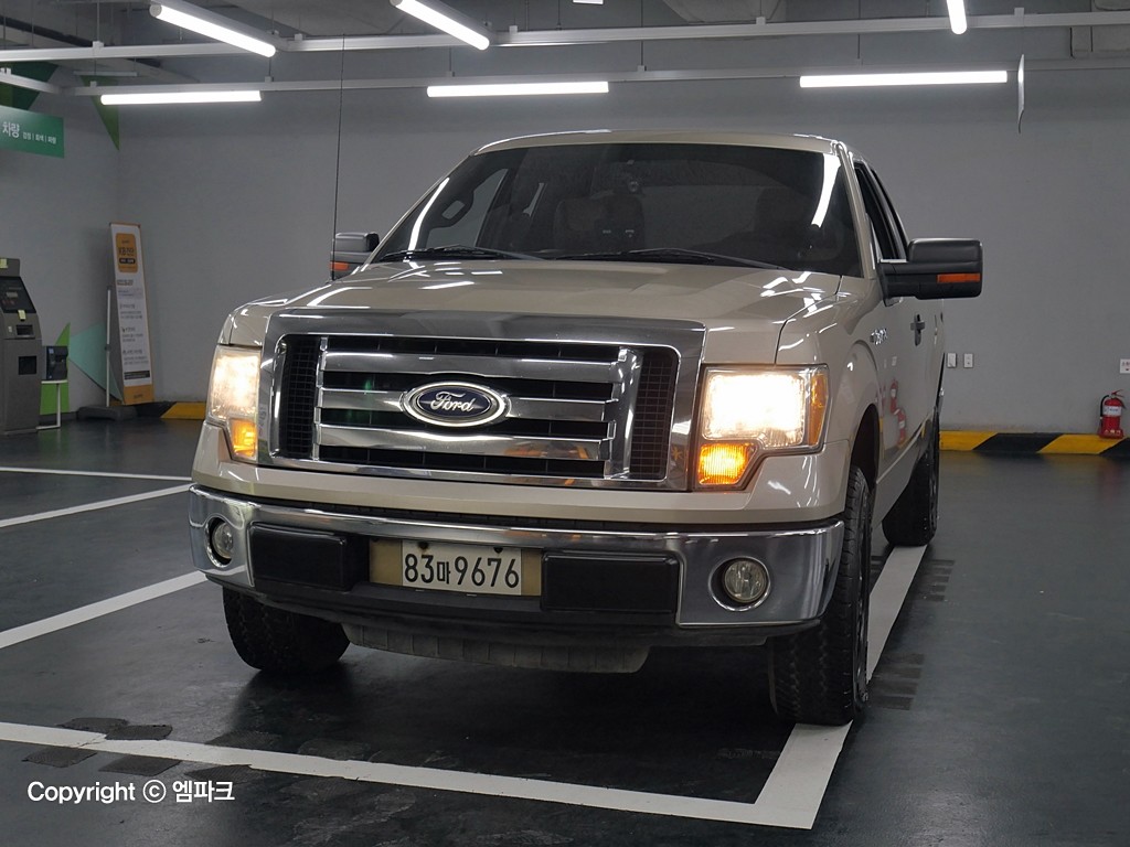 2010 FORD F-150 4.6