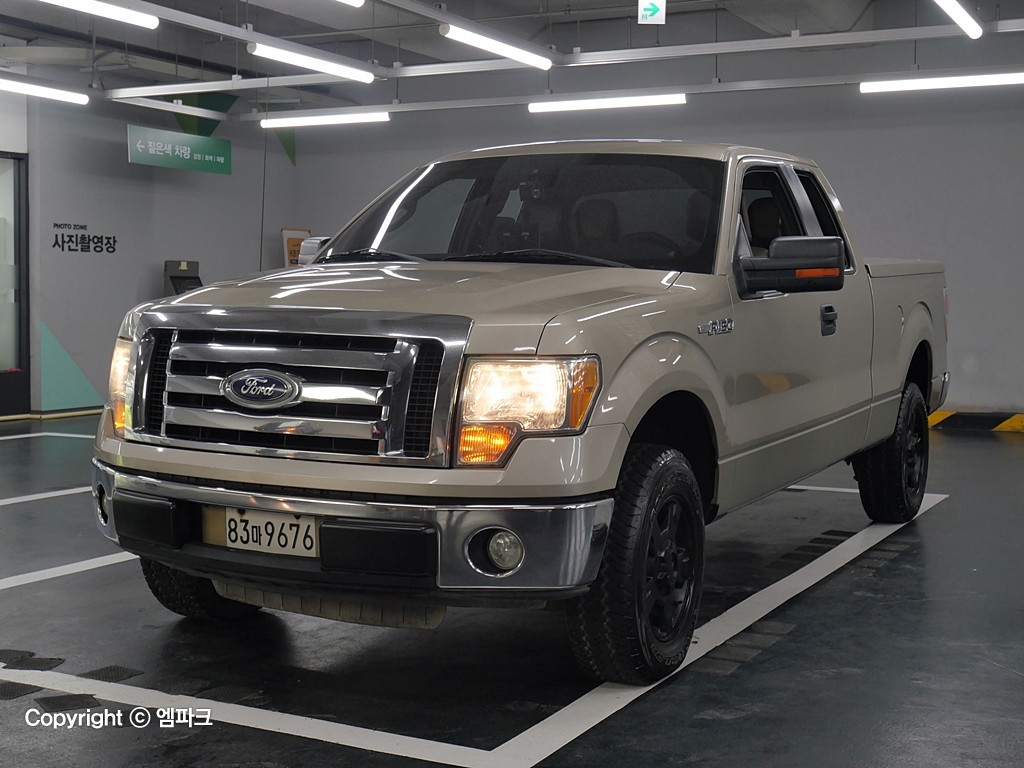 2010 FORD F-150 4.6