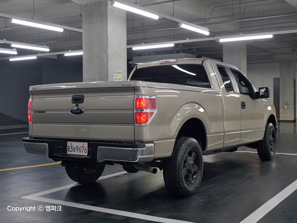 2010 FORD F-150 4.6