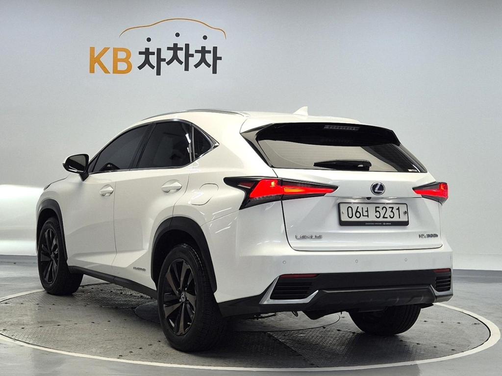 2020 LEXUS NX 