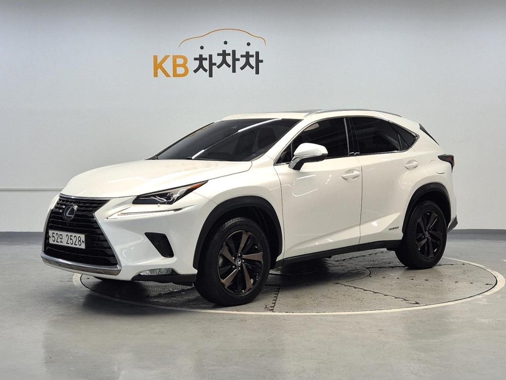 2019 LEXUS NX 