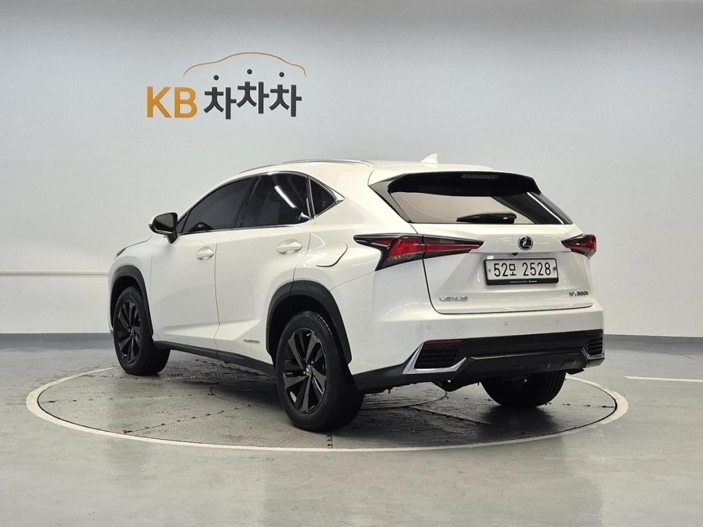 2019 LEXUS NX 