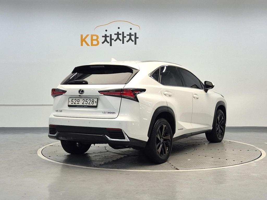 2019 LEXUS NX 
