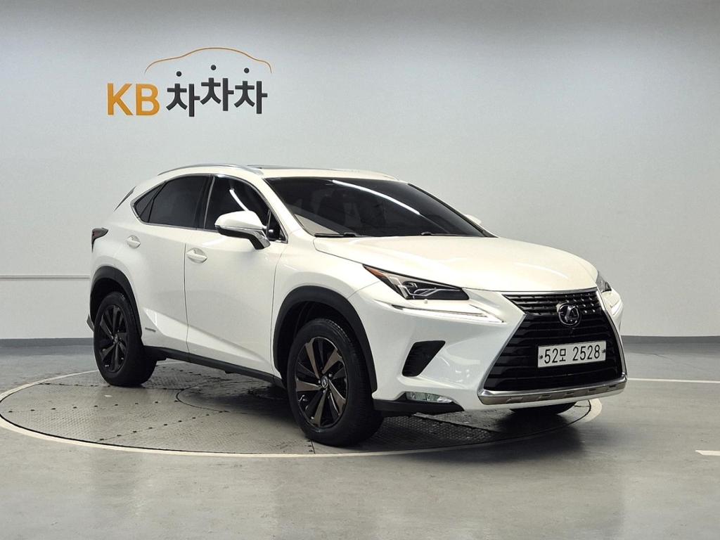 2019 LEXUS NX 