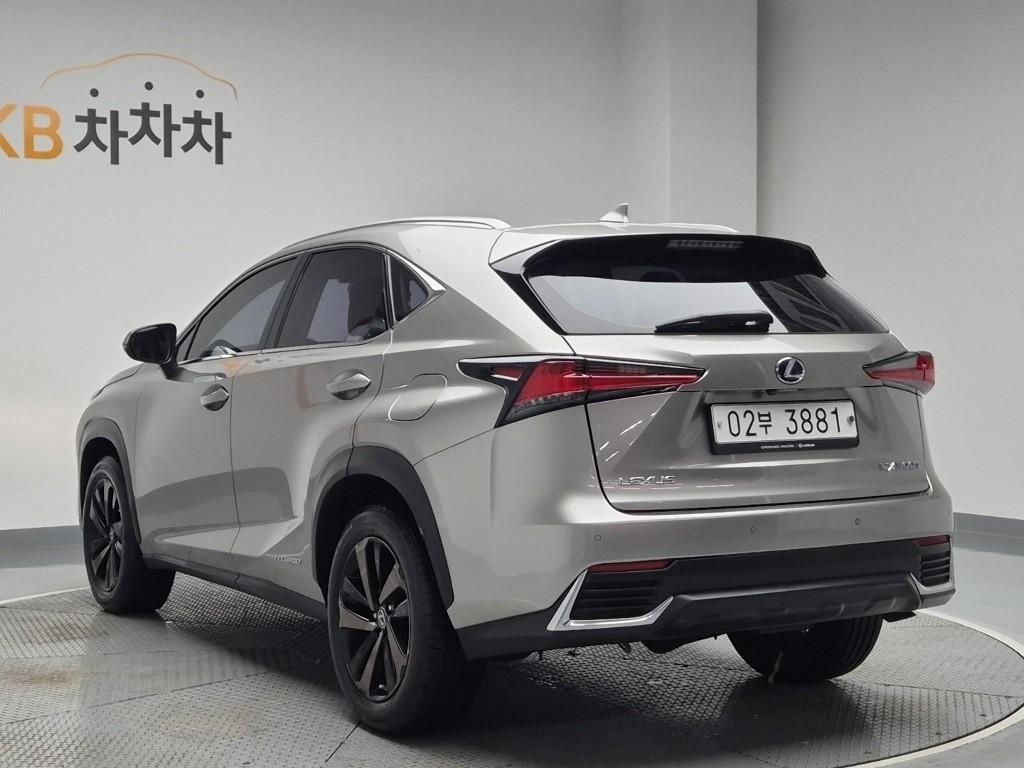2019 LEXUS NX 