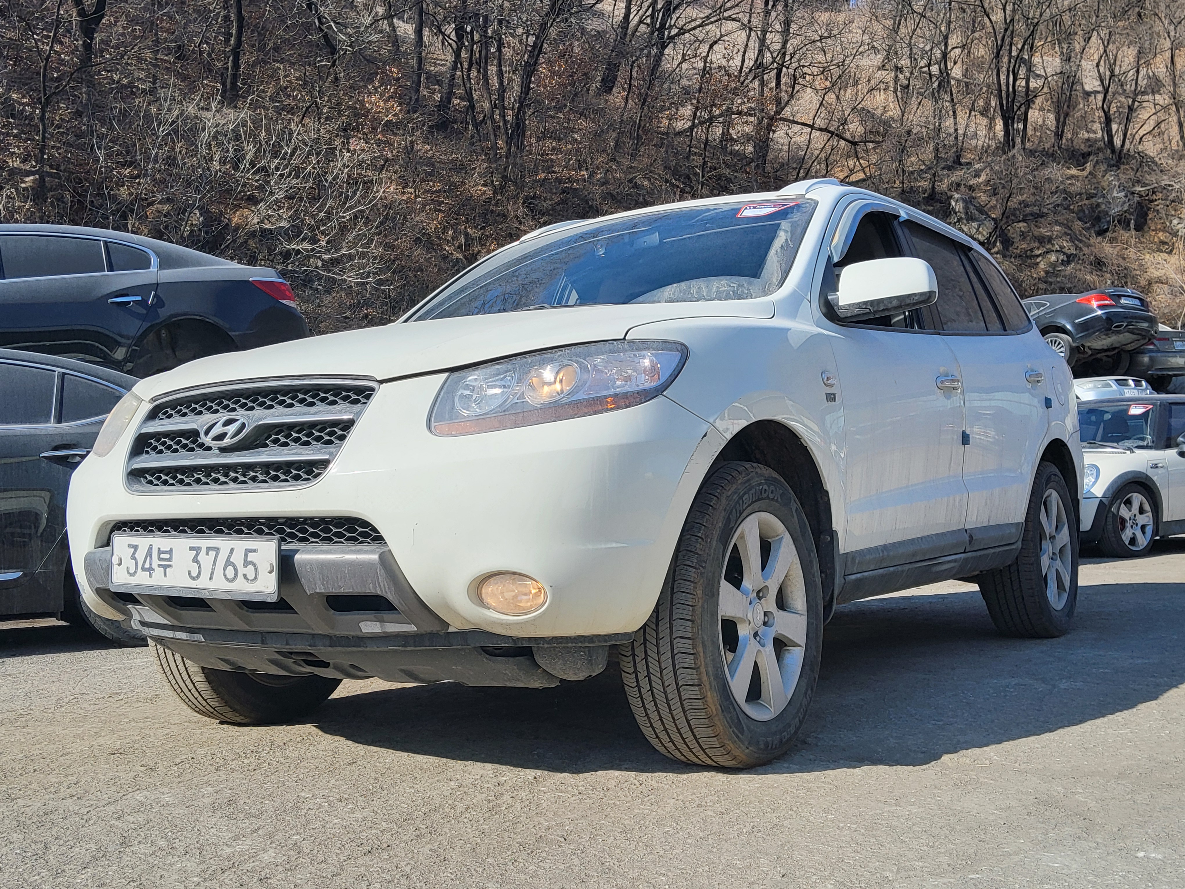 2009 Hyundai SantaFe CM