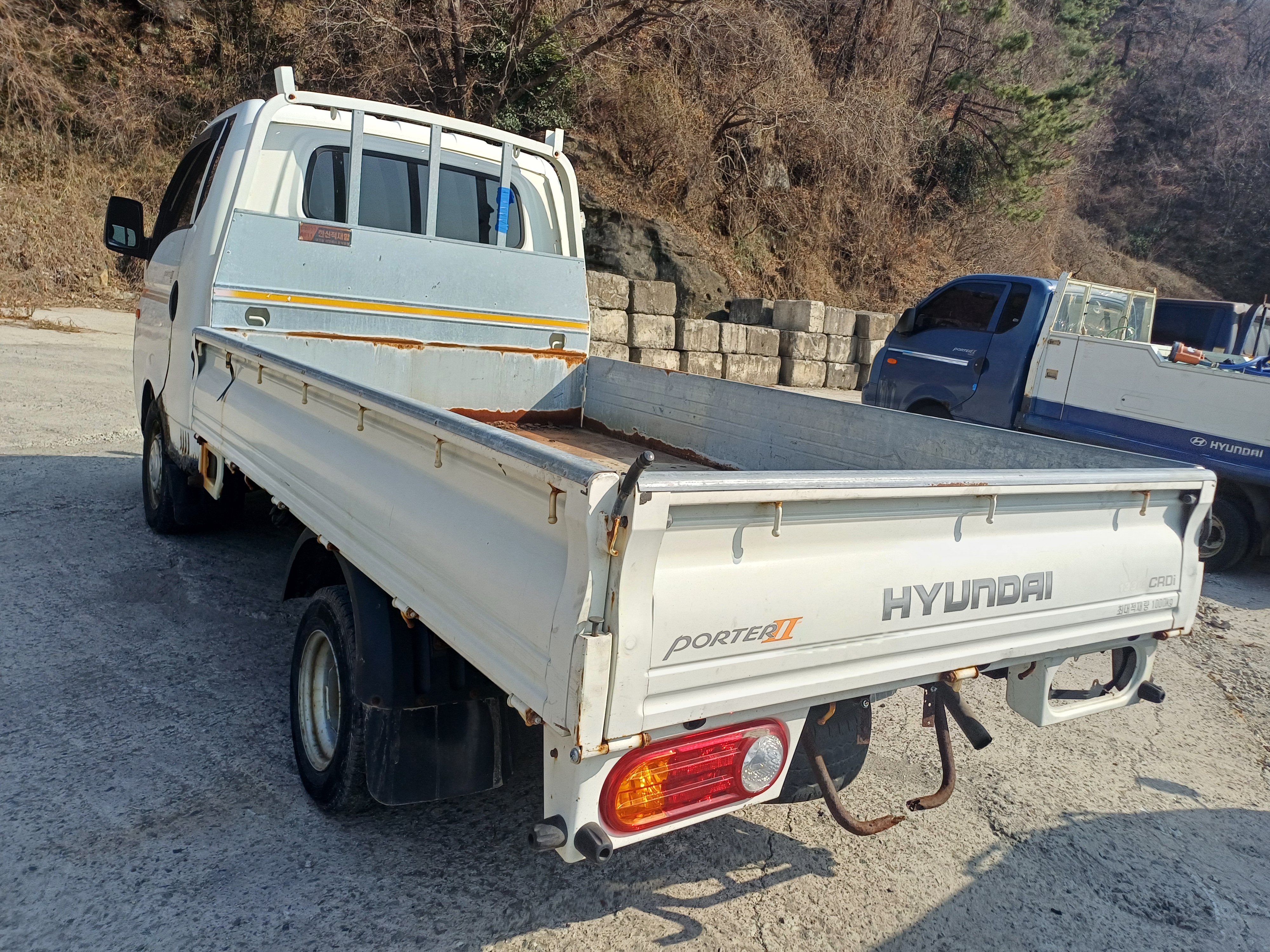 2010 Hyundai Porter2 Super Cab