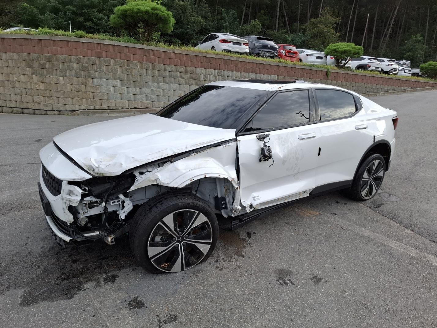 2023 Polestar SIngle Motor
