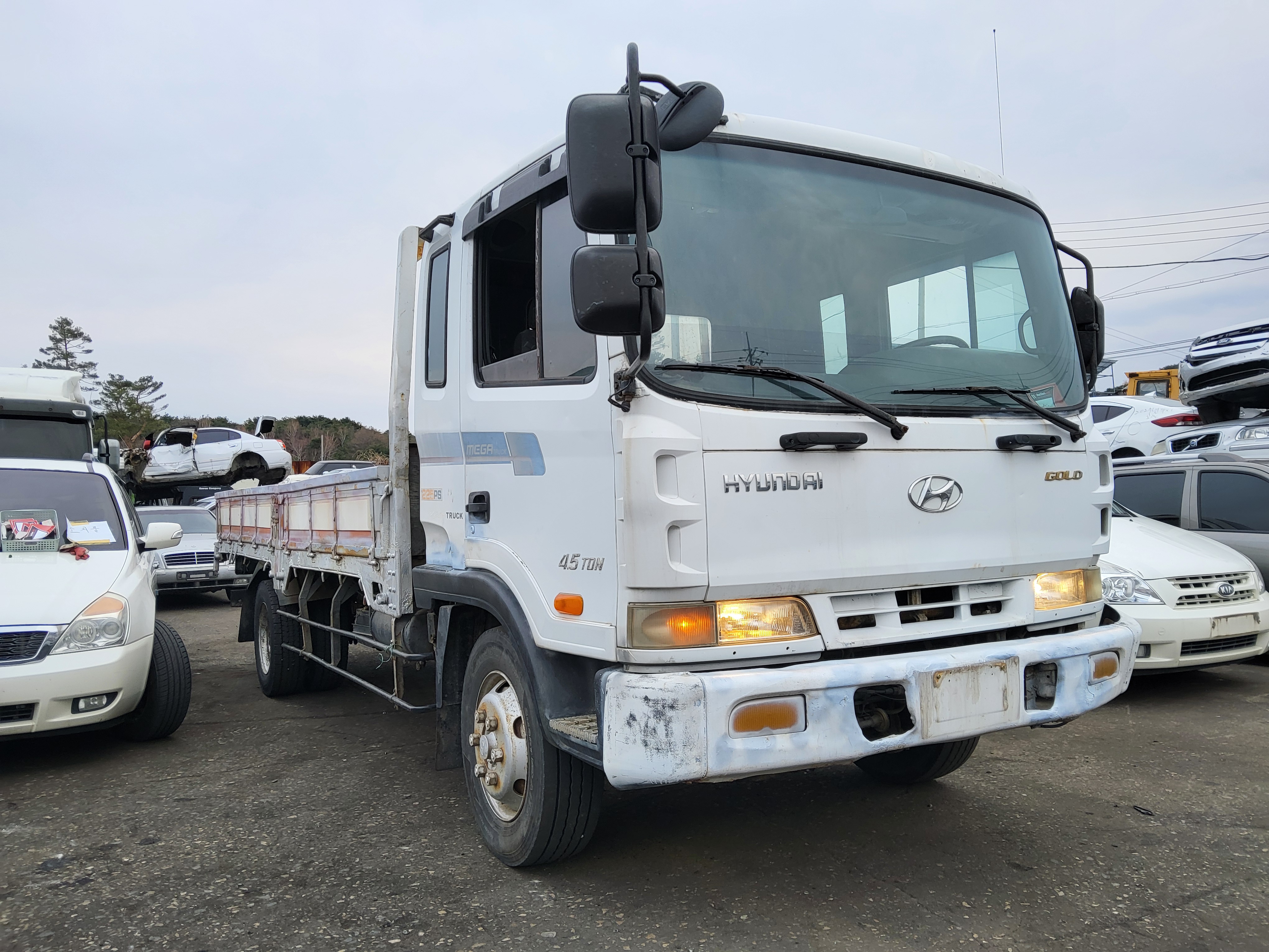 2002 Hyundai Super Truck