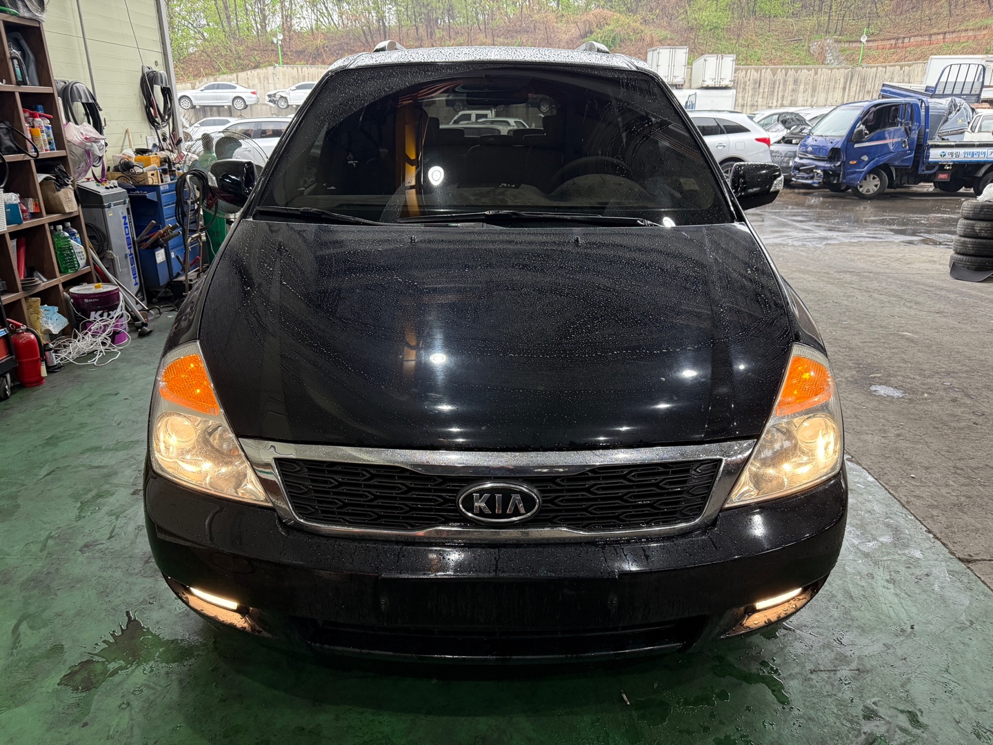2011 Kia Carnival R