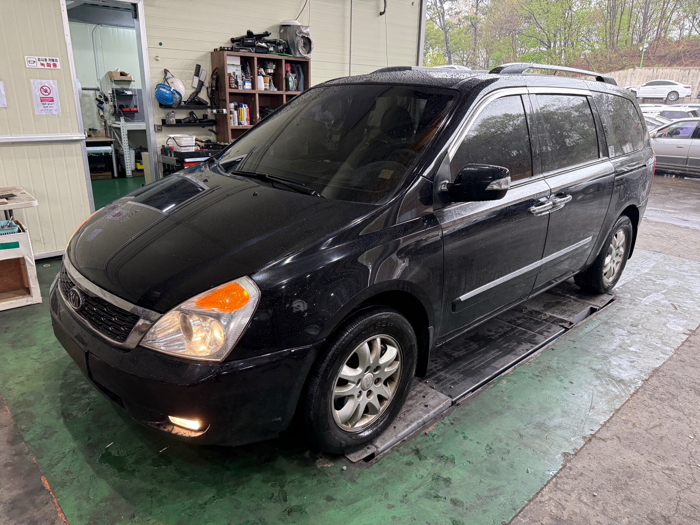 2011 Kia Carnival R