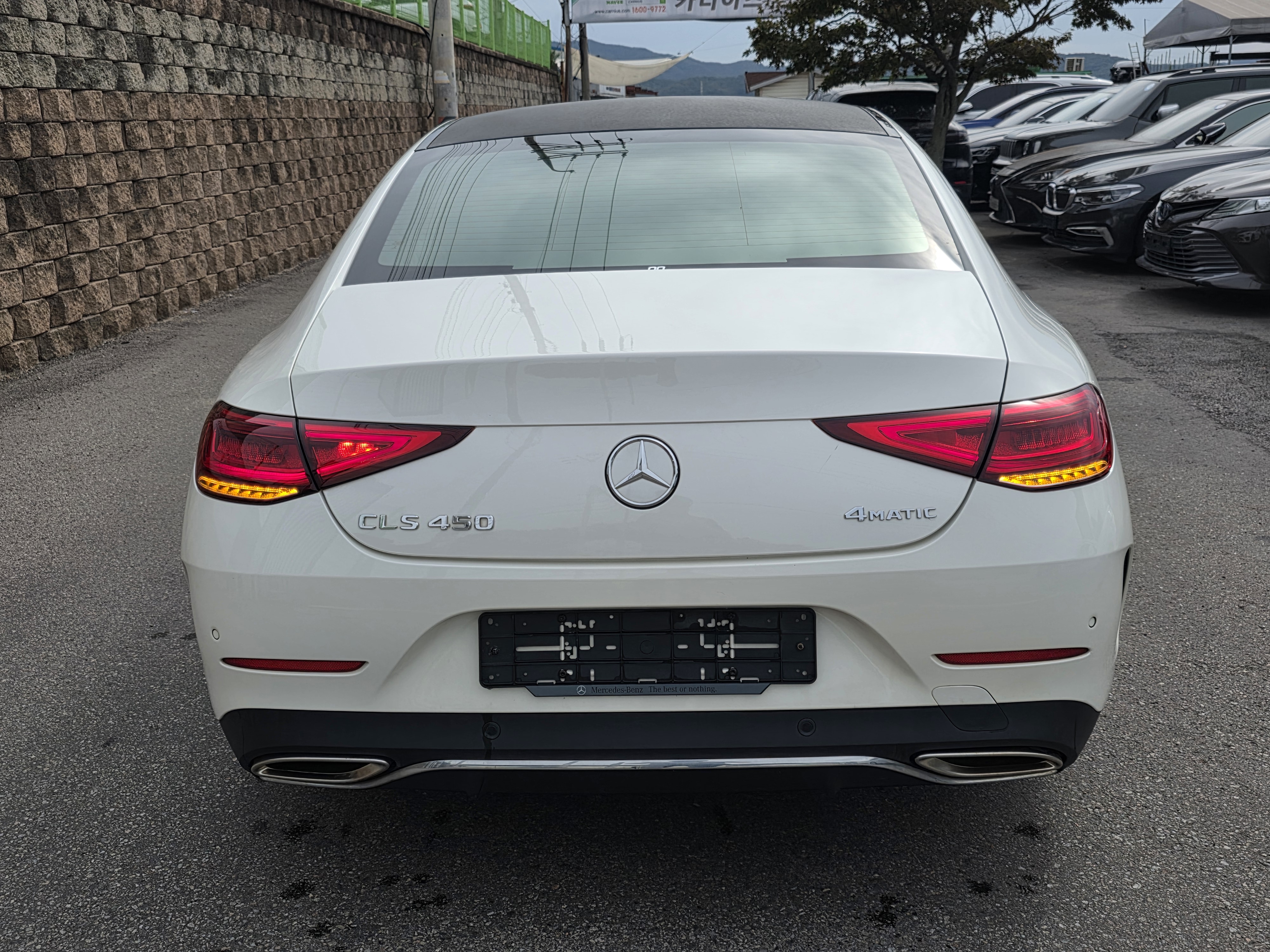 2019 Mercedes Benz CLS Class C257