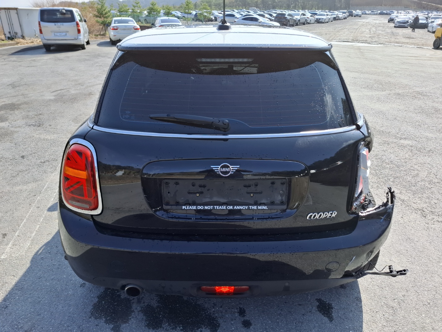 2019 Mini Cooper (3rd Gen)