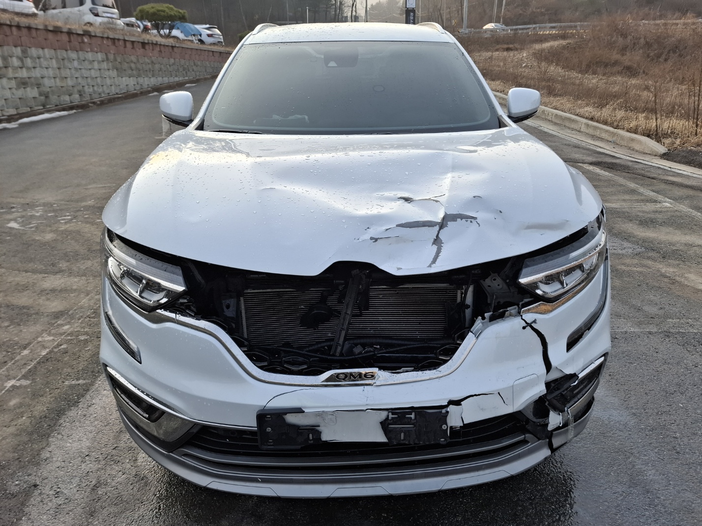 2021 Renault The New QM6