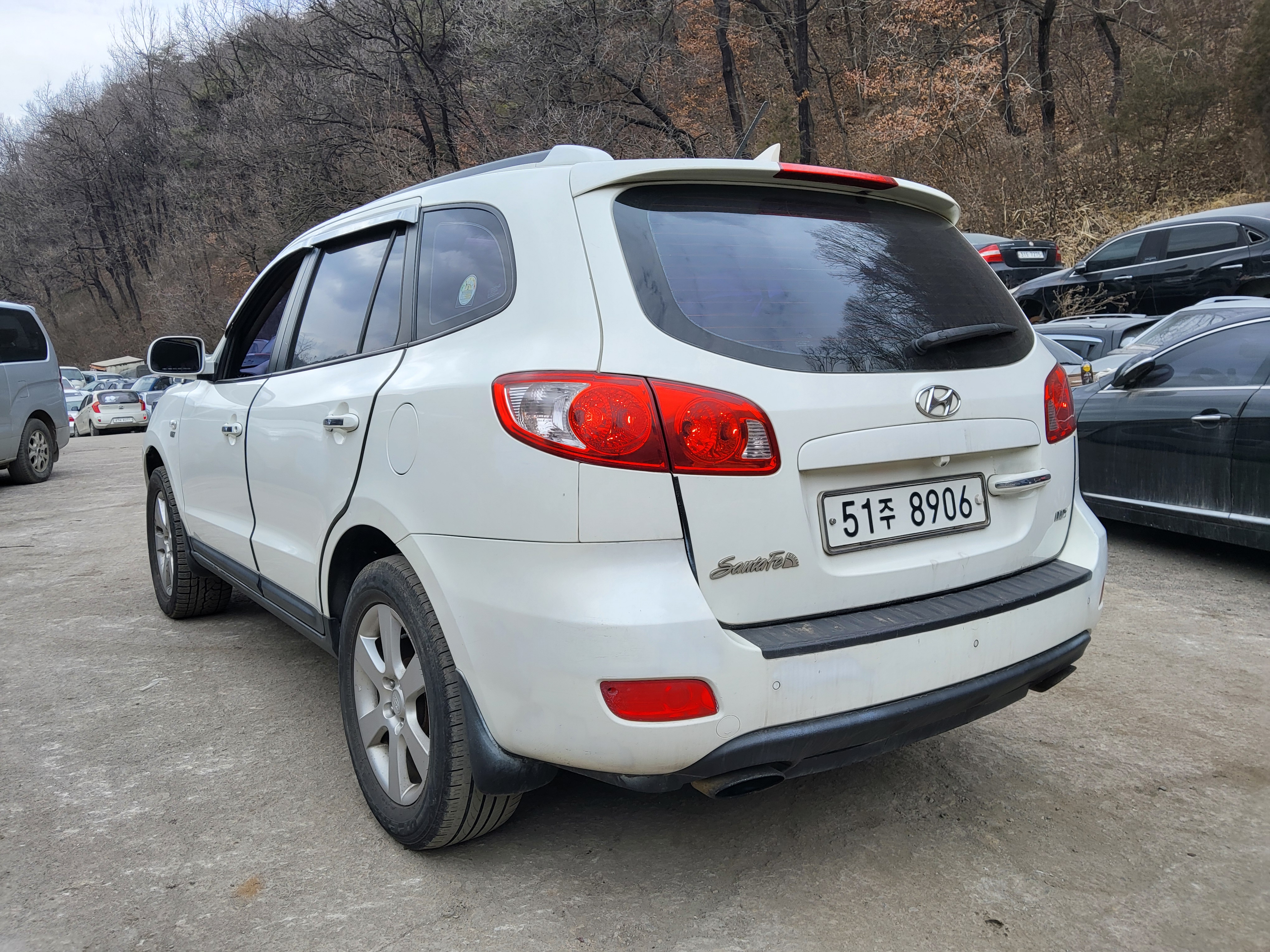 2009 Hyundai SantaFe CM