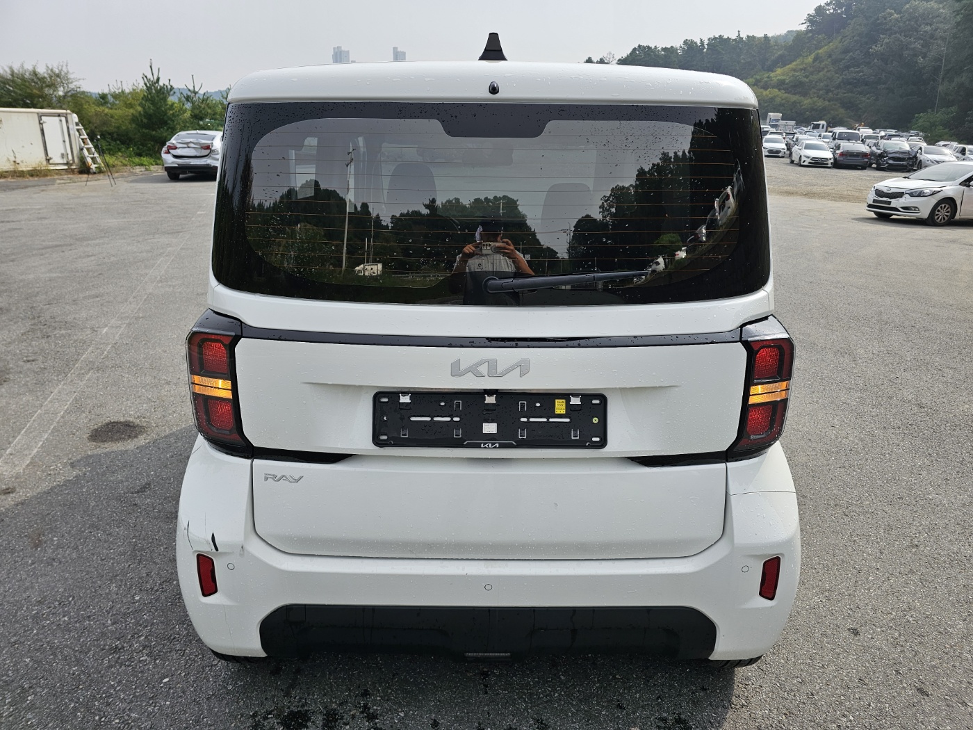 2024 Kia The New Ray