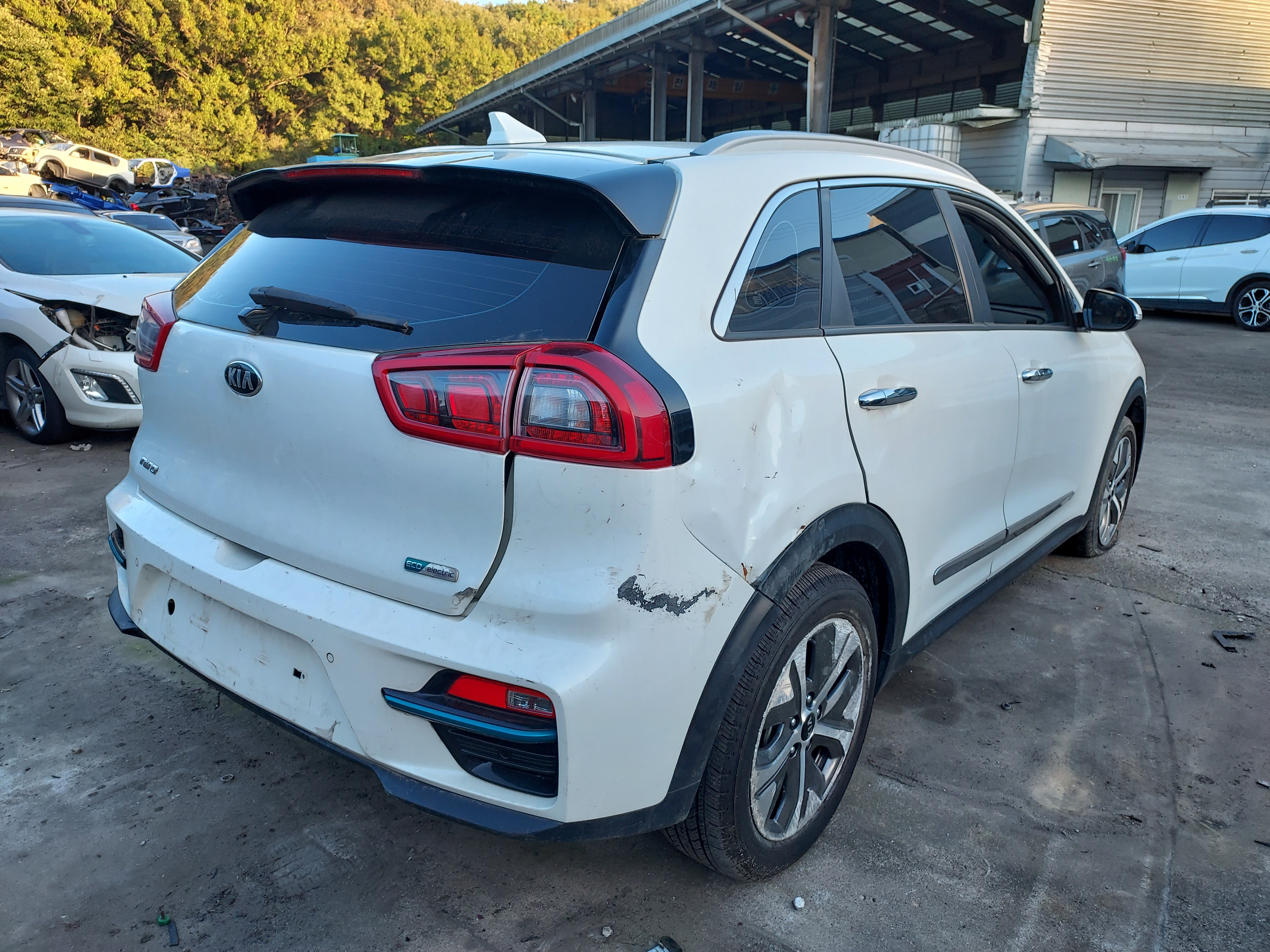 2020 Kia Niro EV