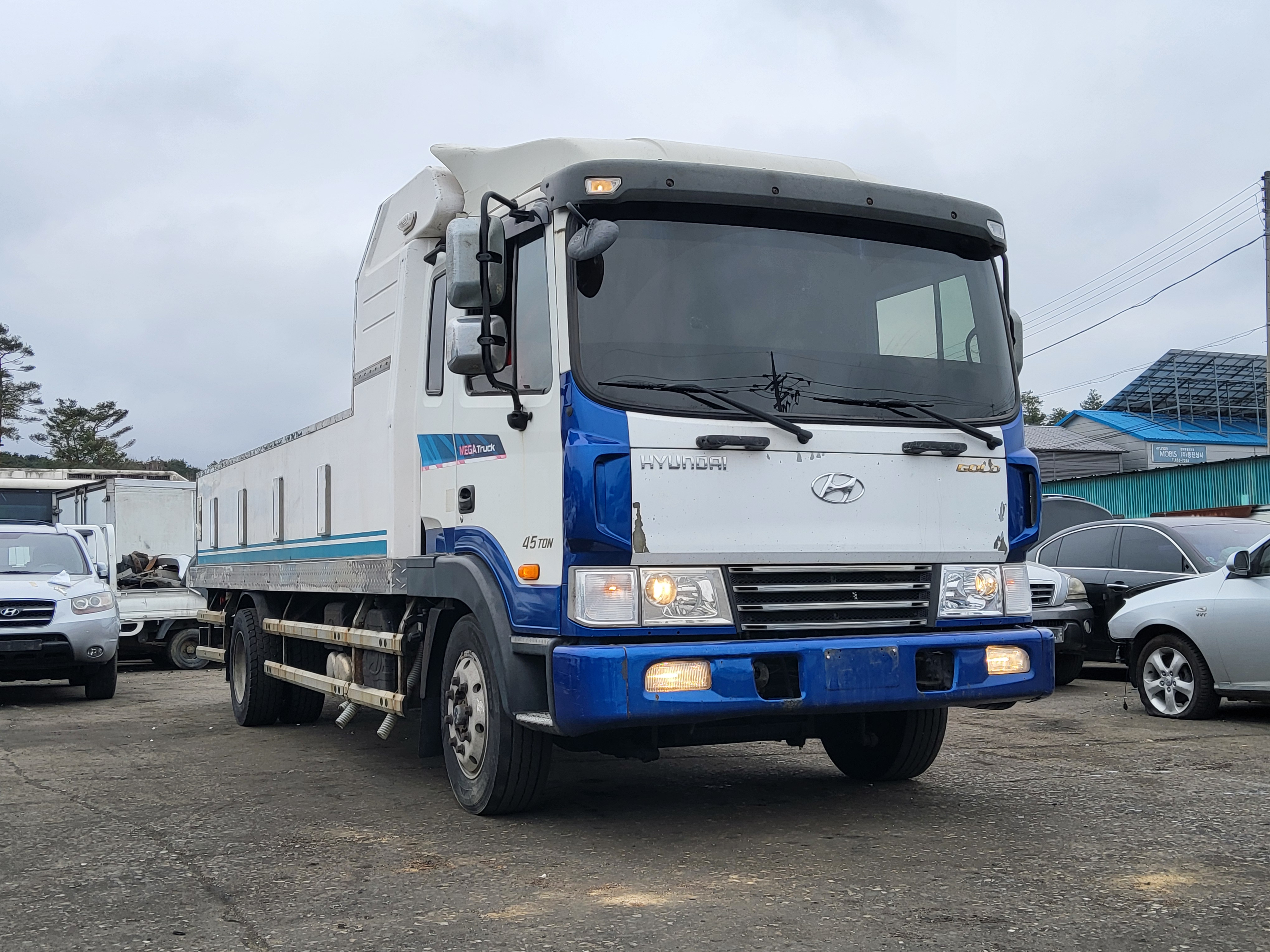 2010 Hyundai Mega Truck