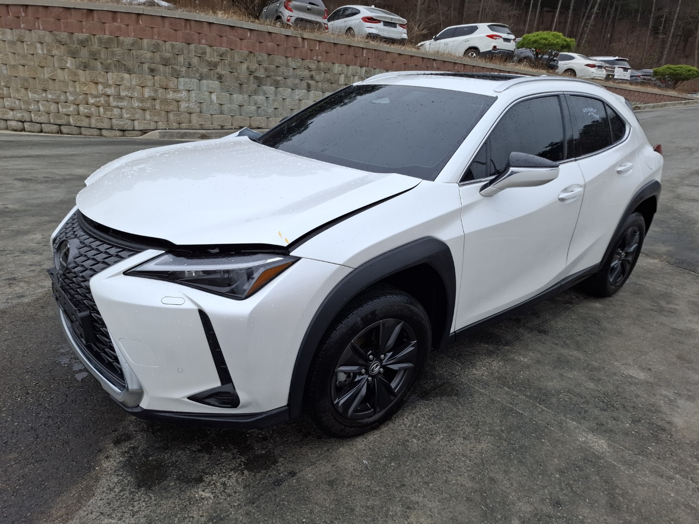 2025 Lexus UX300h