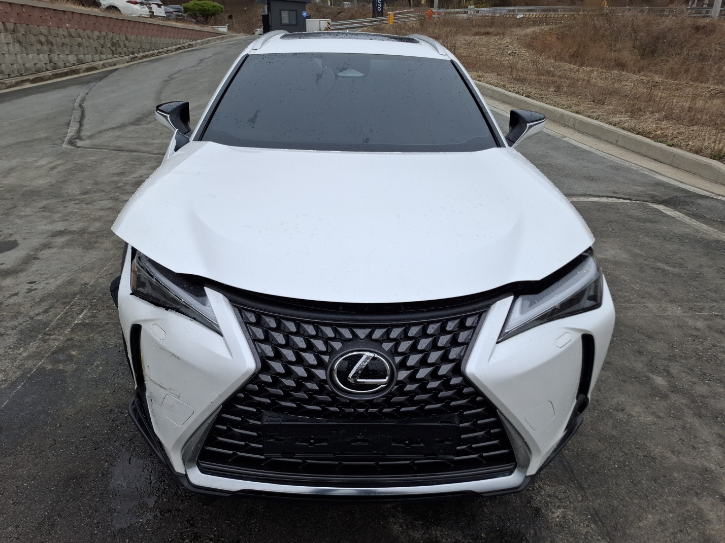 2025 Lexus UX300h