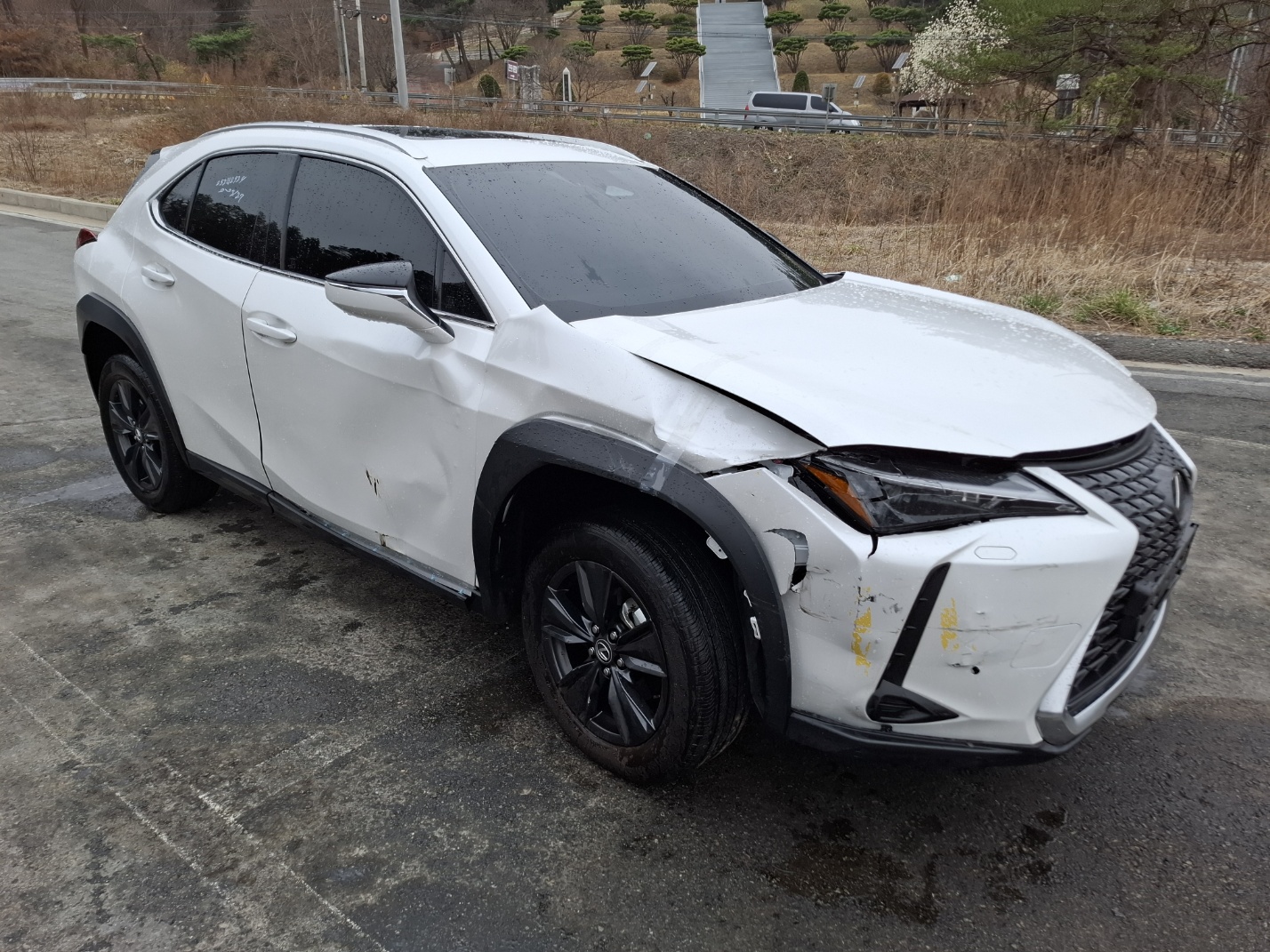 2025 Lexus UX300h