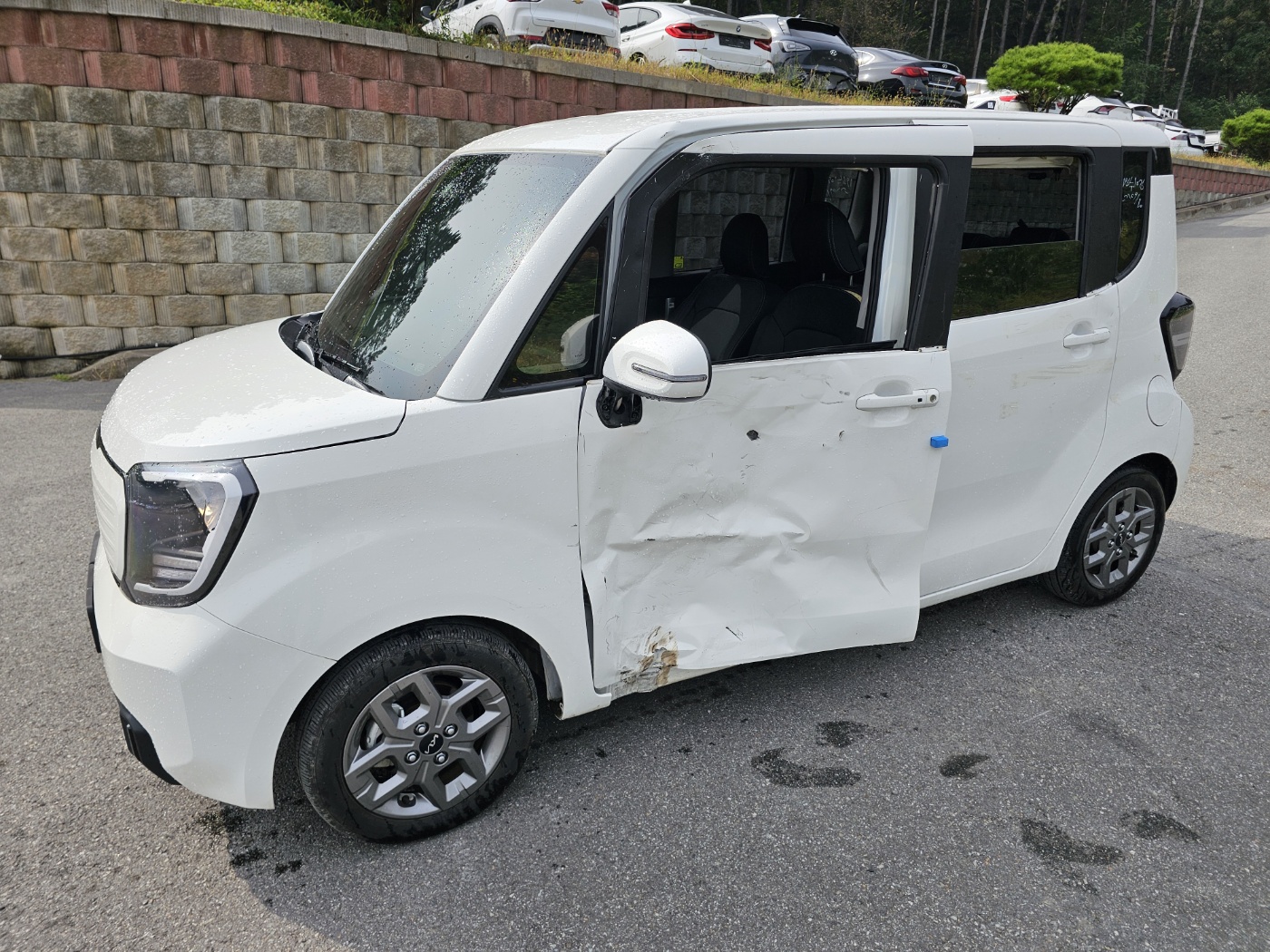 2024 Kia The New Ray