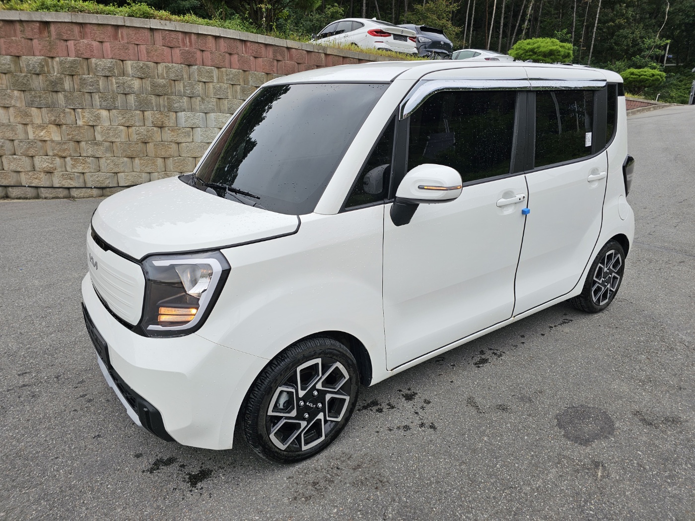 2024 Kia The New Ray