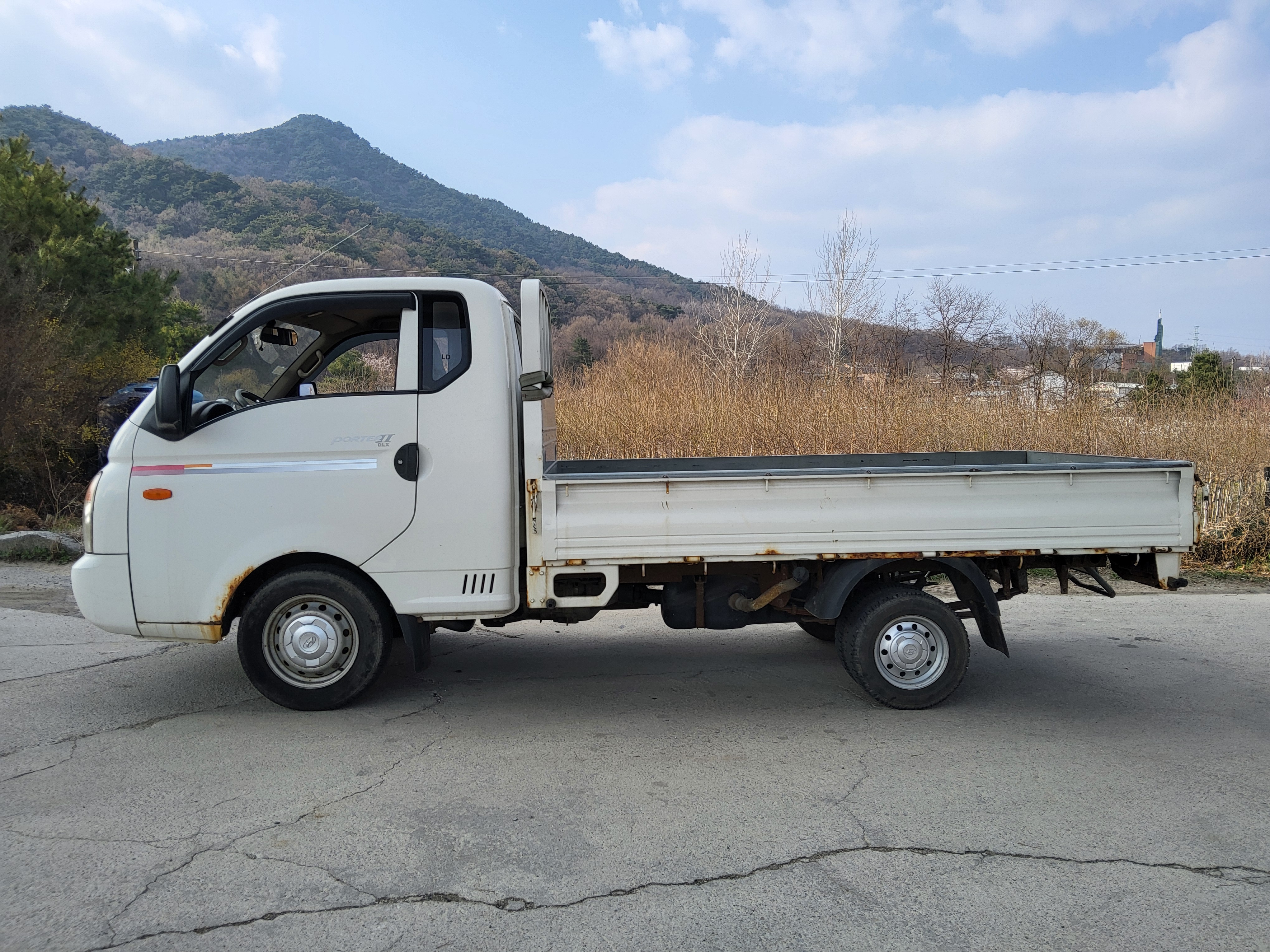 2010 Hyundai Porter2 Super Cab