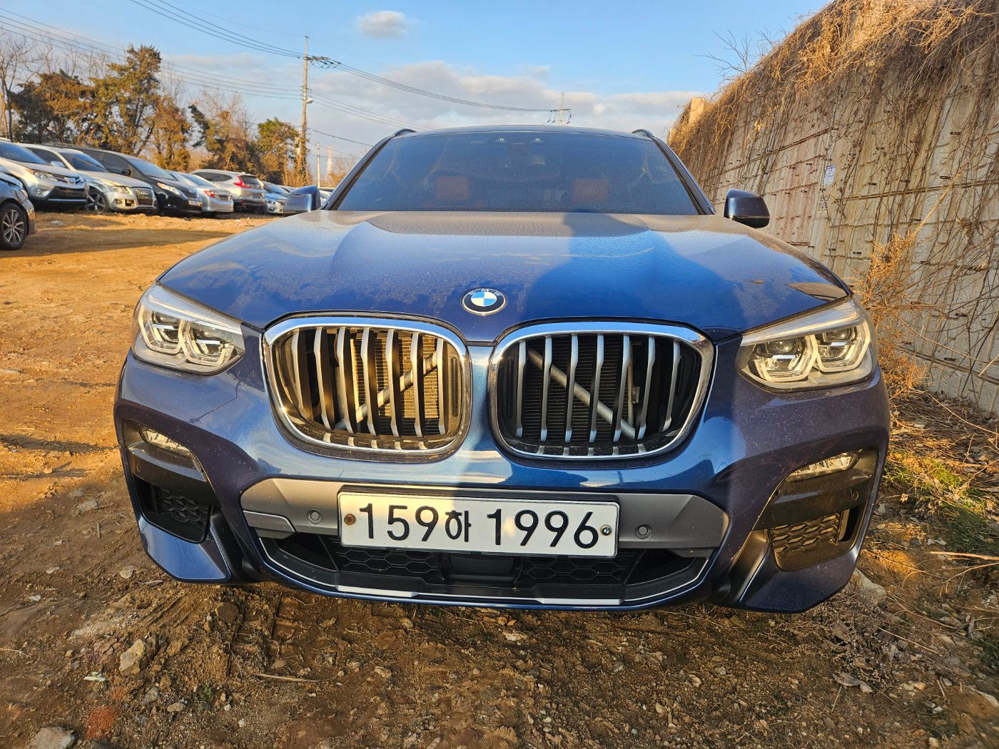 2020 BMW X4 (G02)