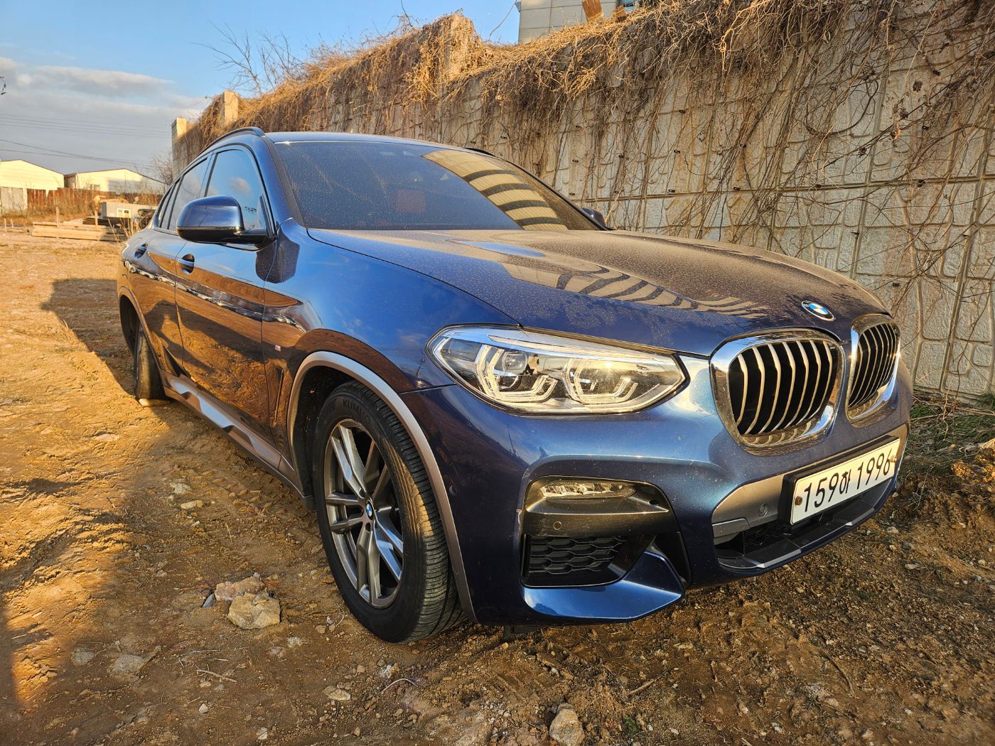 2020 BMW X4 (G02)
