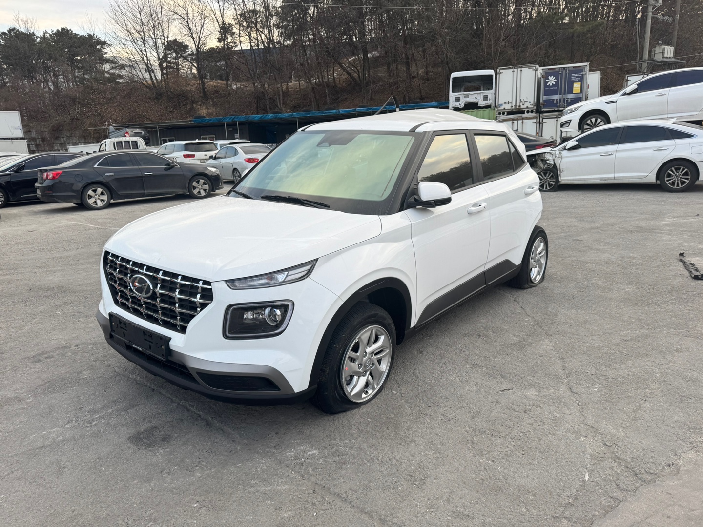 2025 Hyundai VENUE