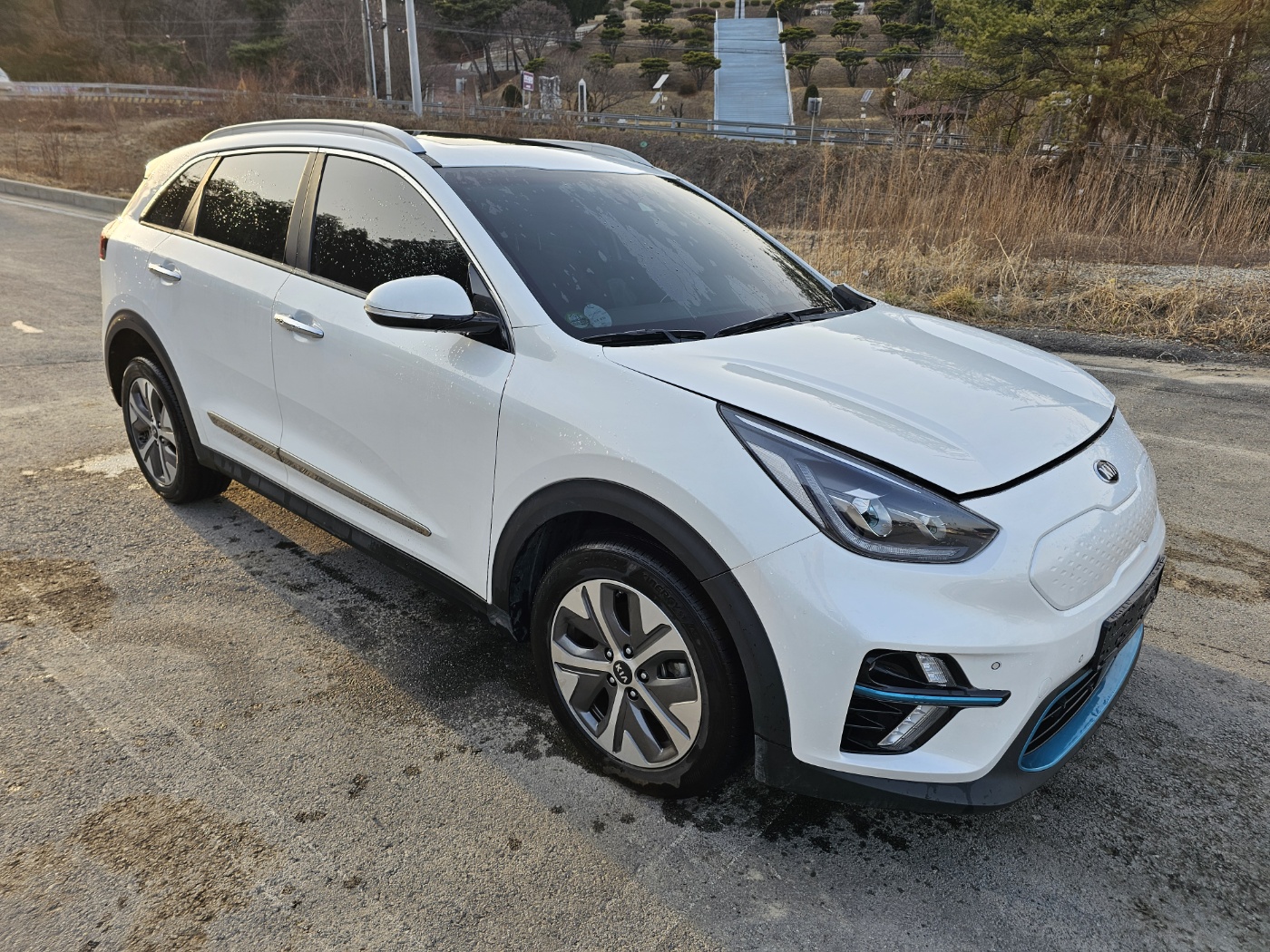 2019 Kia Niro EV