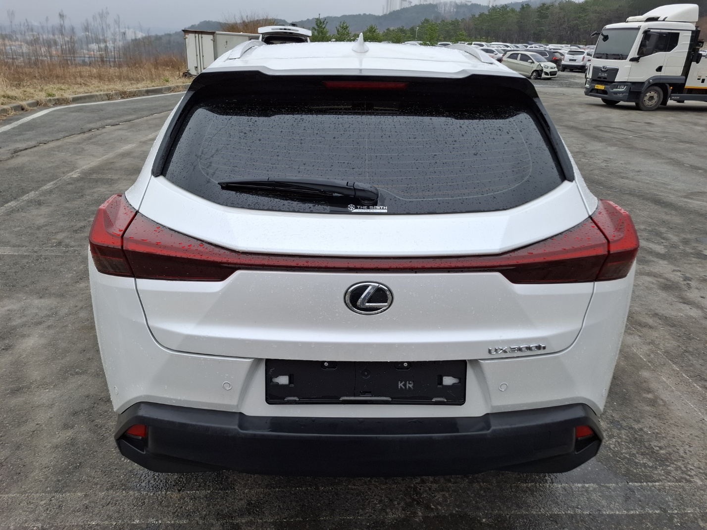 2025 Lexus UX300h