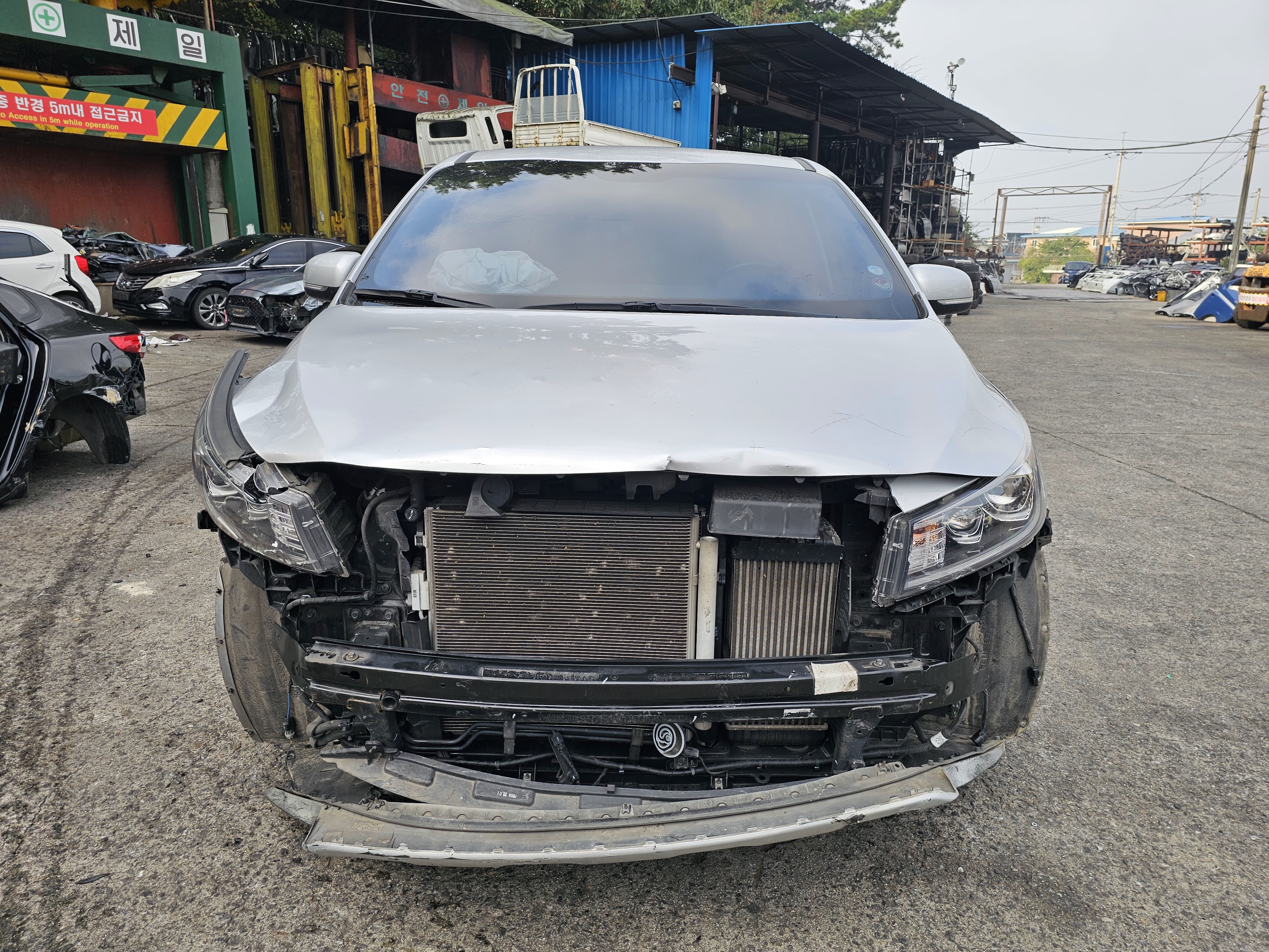 2019 Kia 더 뉴 카니발