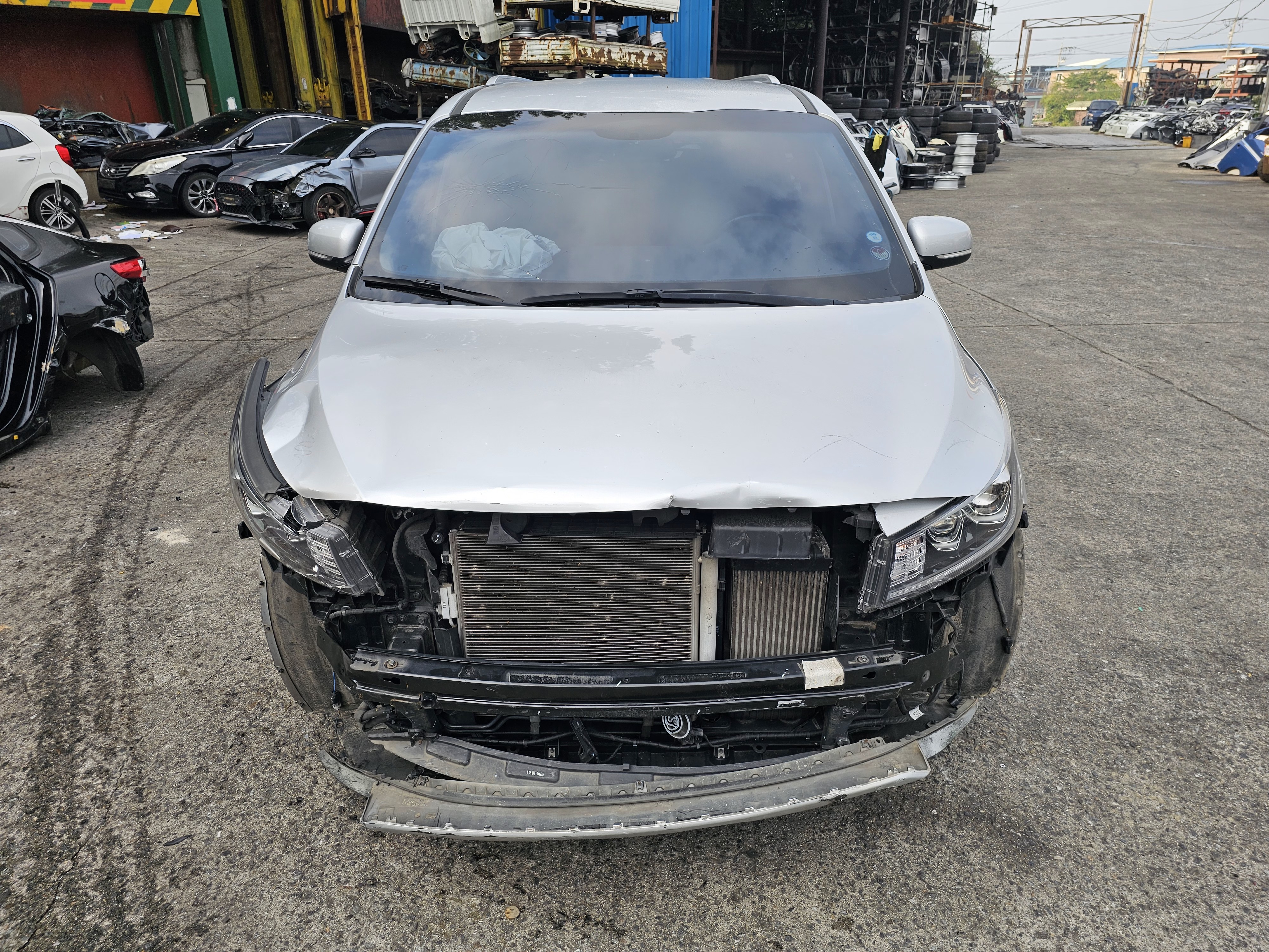 2019 Kia 더 뉴 카니발