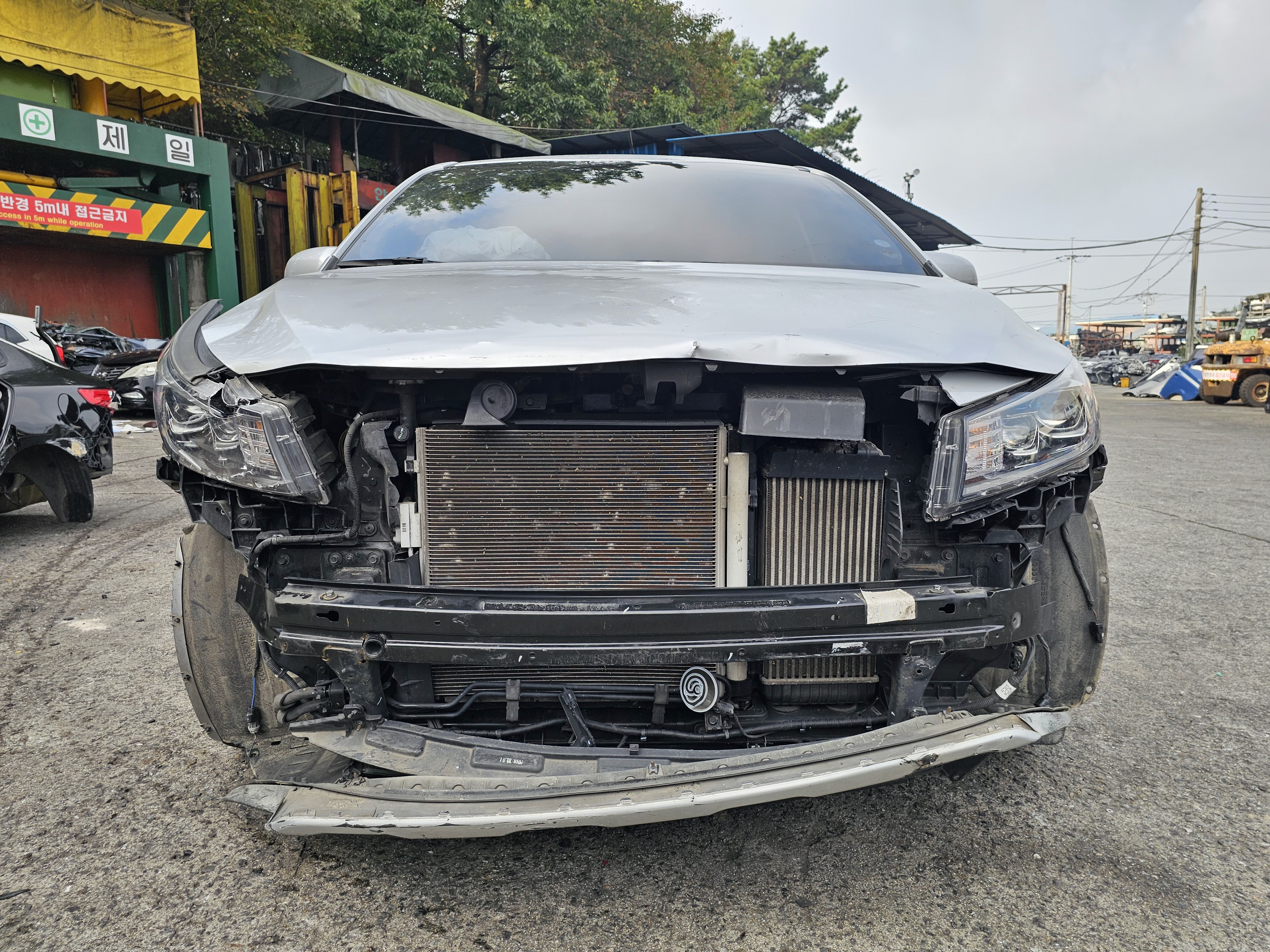 2019 Kia 더 뉴 카니발