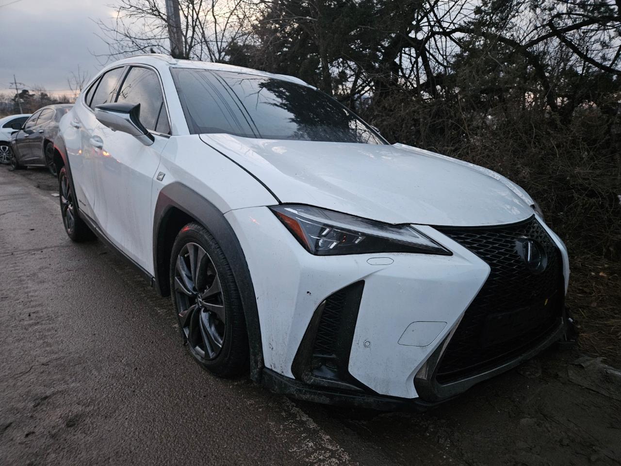 2021 Lexus UX250h