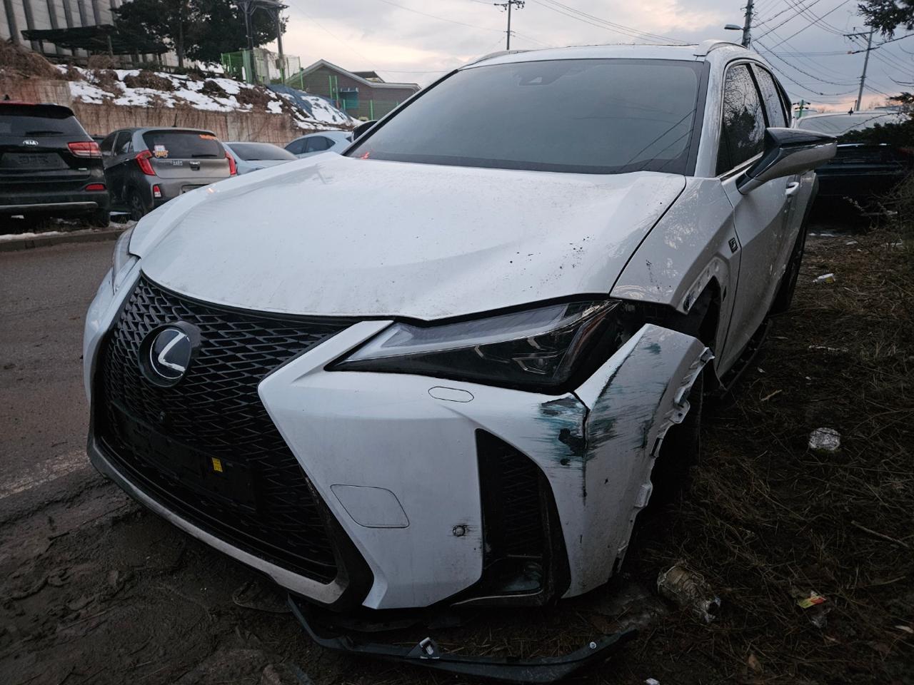 2021 Lexus UX250h