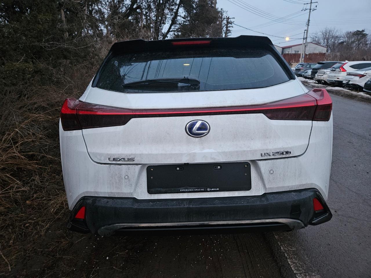2021 Lexus UX250h