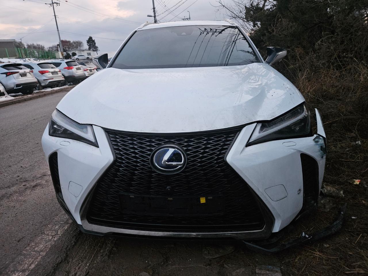 2021 Lexus UX250h