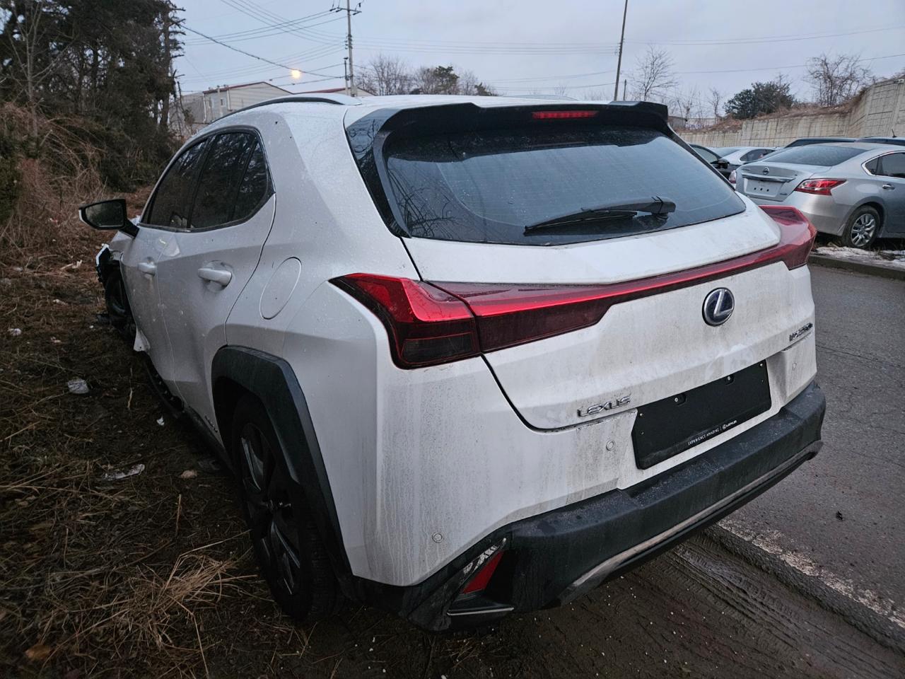 2021 Lexus UX250h