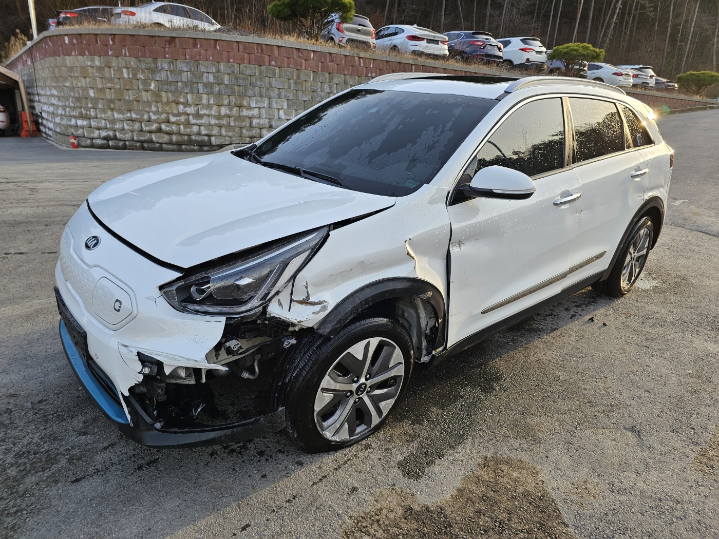 2019 Kia Niro EV