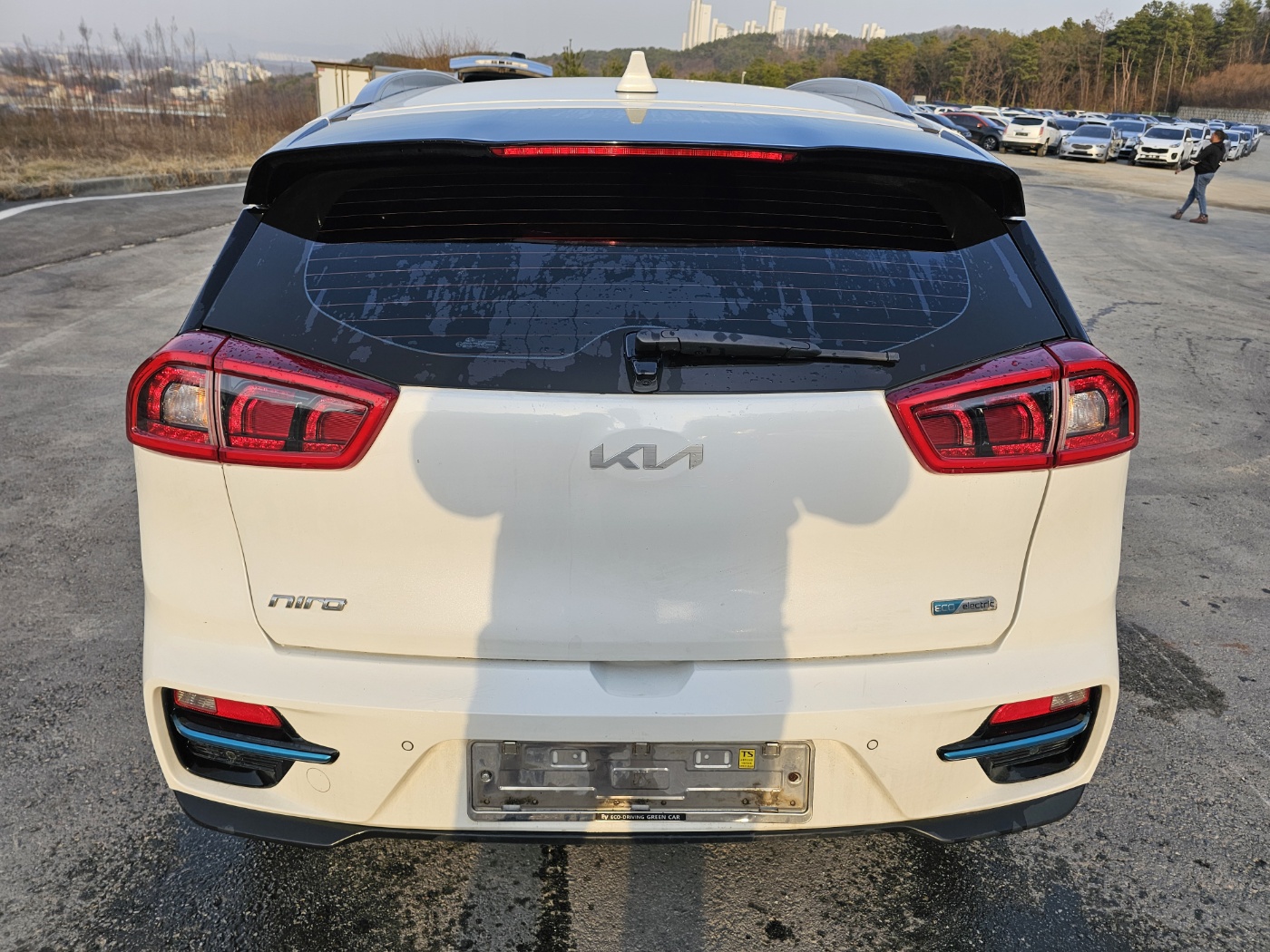 2019 Kia Niro EV
