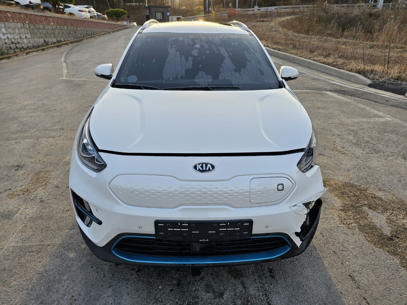 2019 Kia Niro EV
