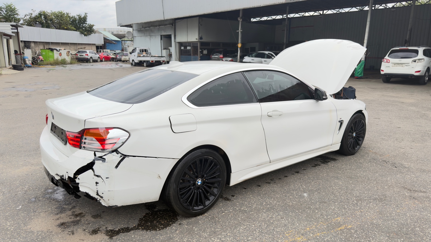 2014 BMW 4 Series Gran Coupe (F36)