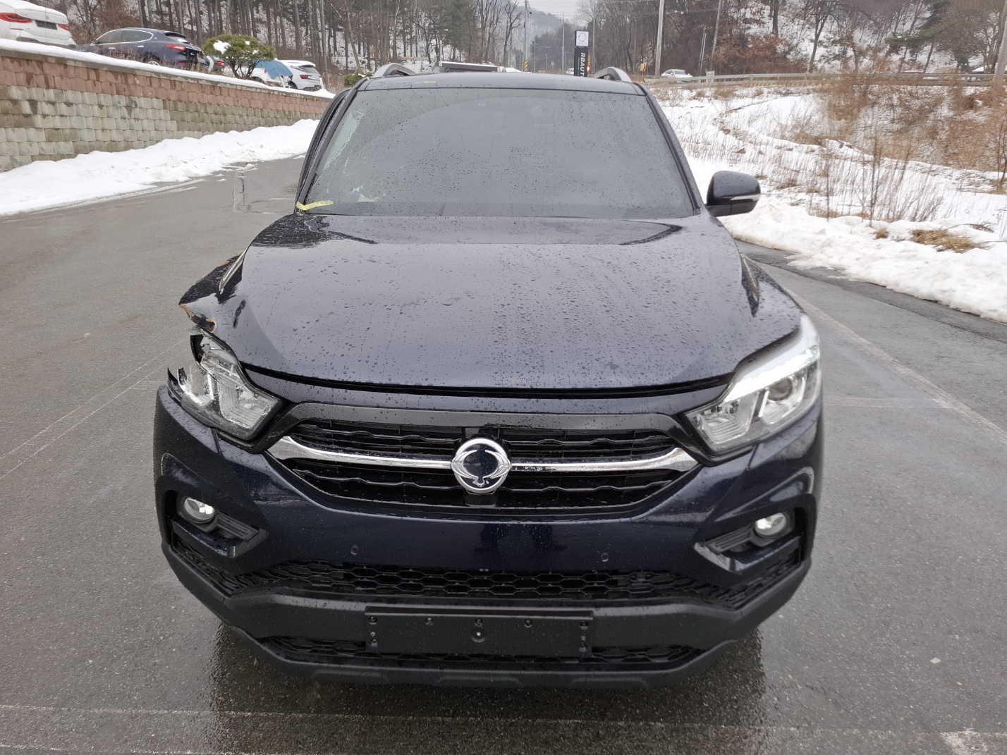 2019 KGM (Ssangyong) Rexton Sport