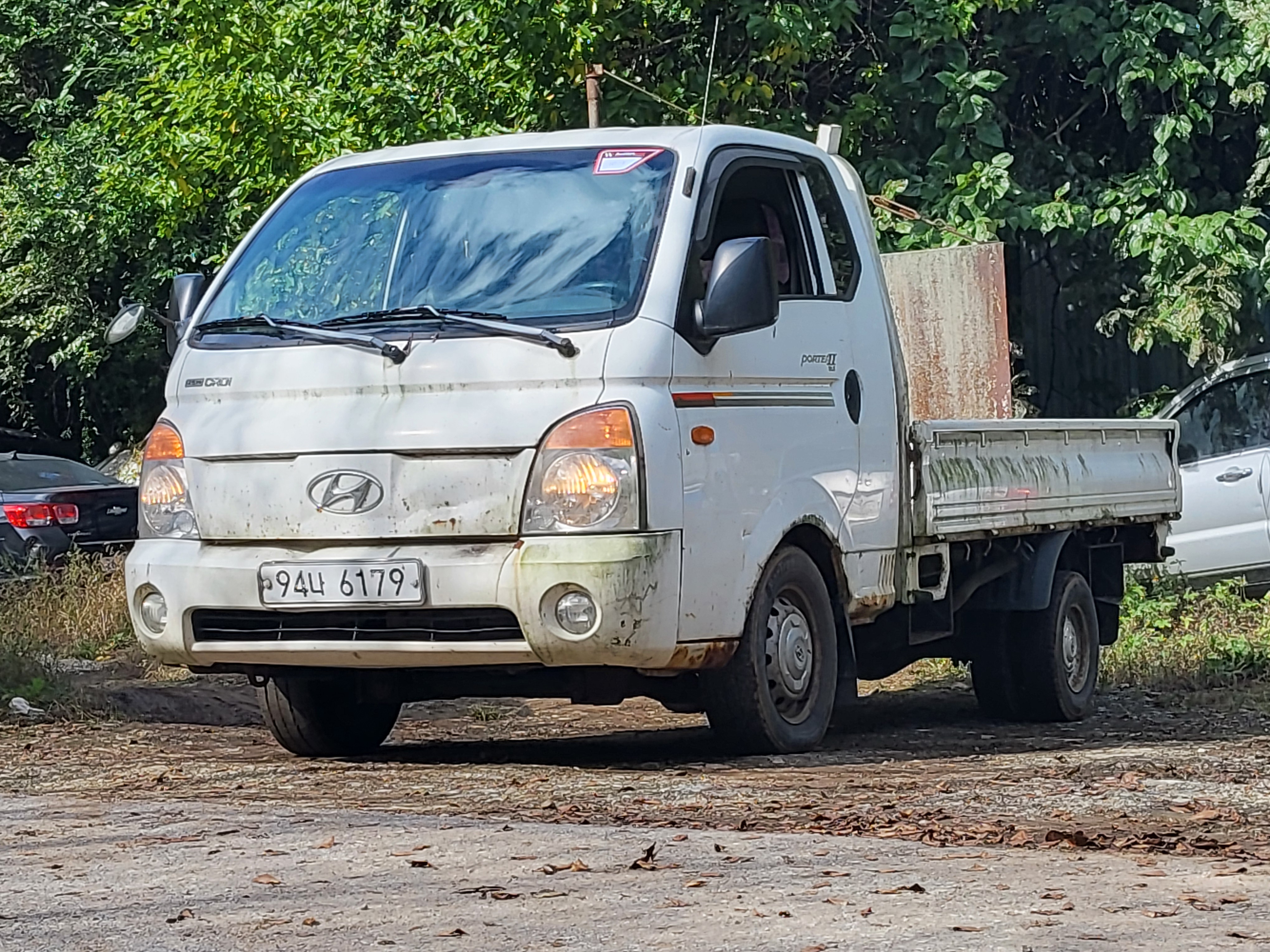 2010 Hyundai Porter2 Super Cab