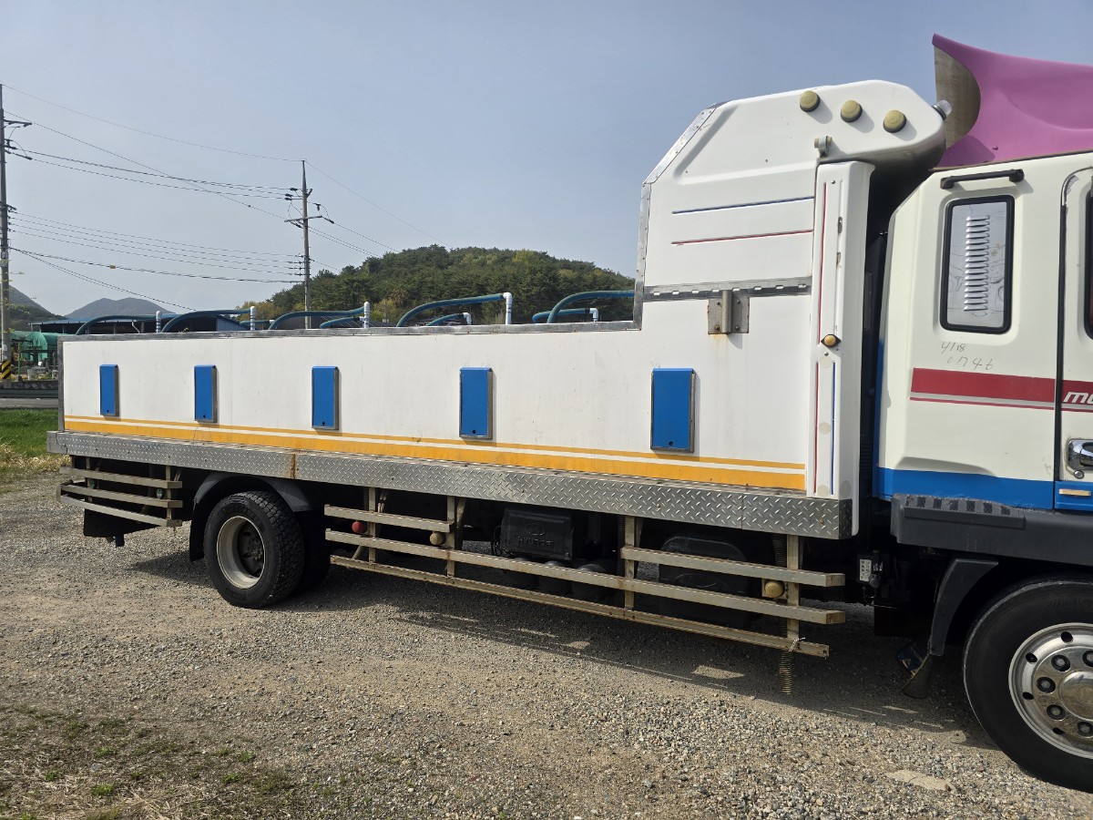 2010 Hyundai Mega Truck