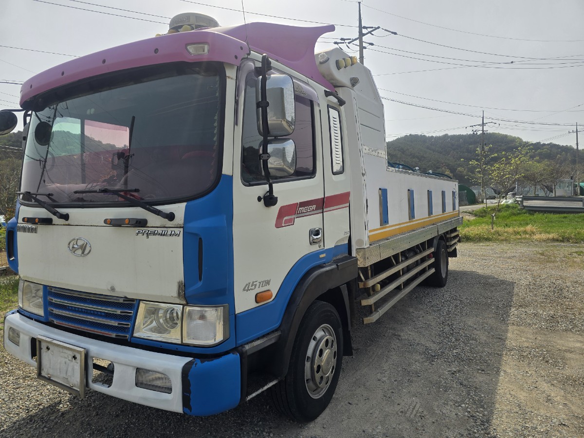 2010 Hyundai Mega Truck