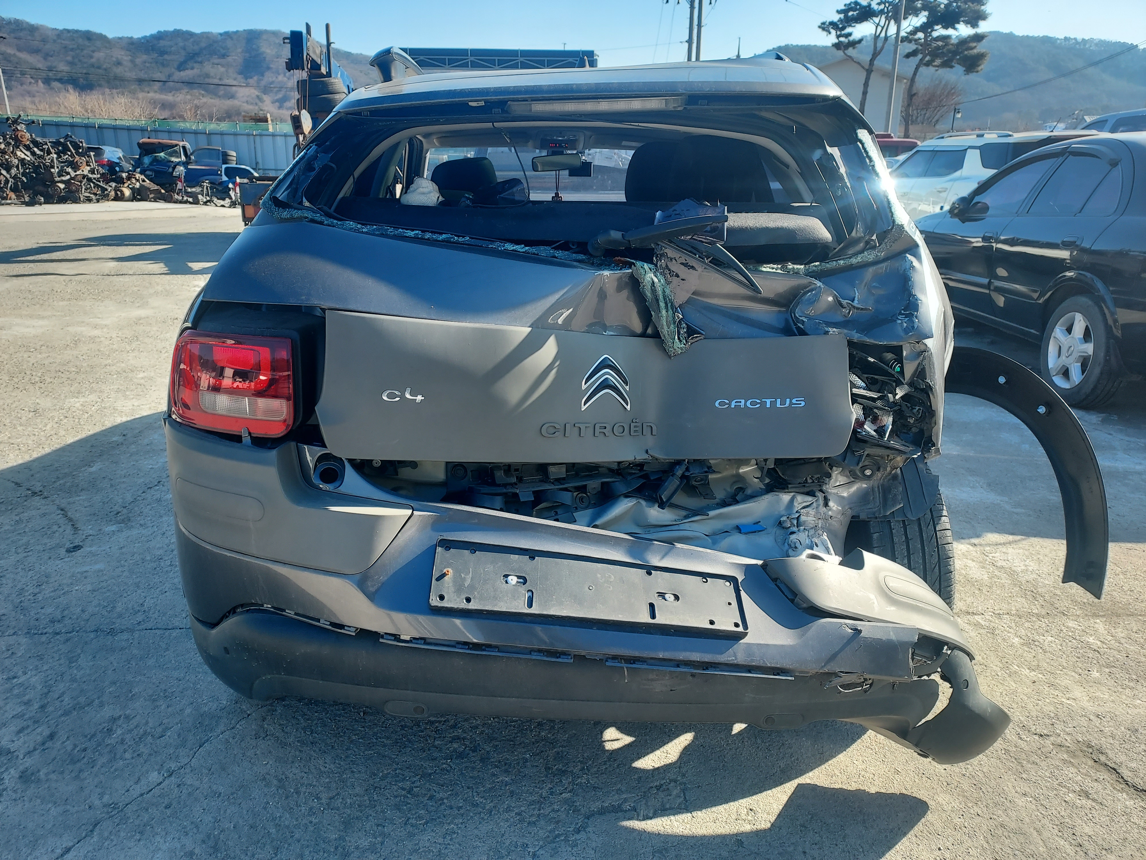 2018 Citroen C4 Cactus